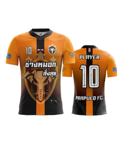 เสื้อพิมพ์ลาย คอวี