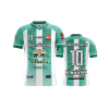 เสื้อพิมพ์ลาย คอวี