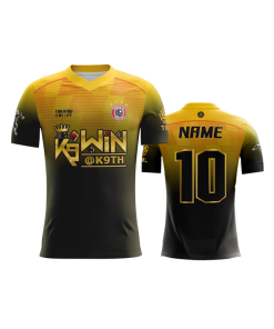 เสื้อพิมพ์ลาย คอวี